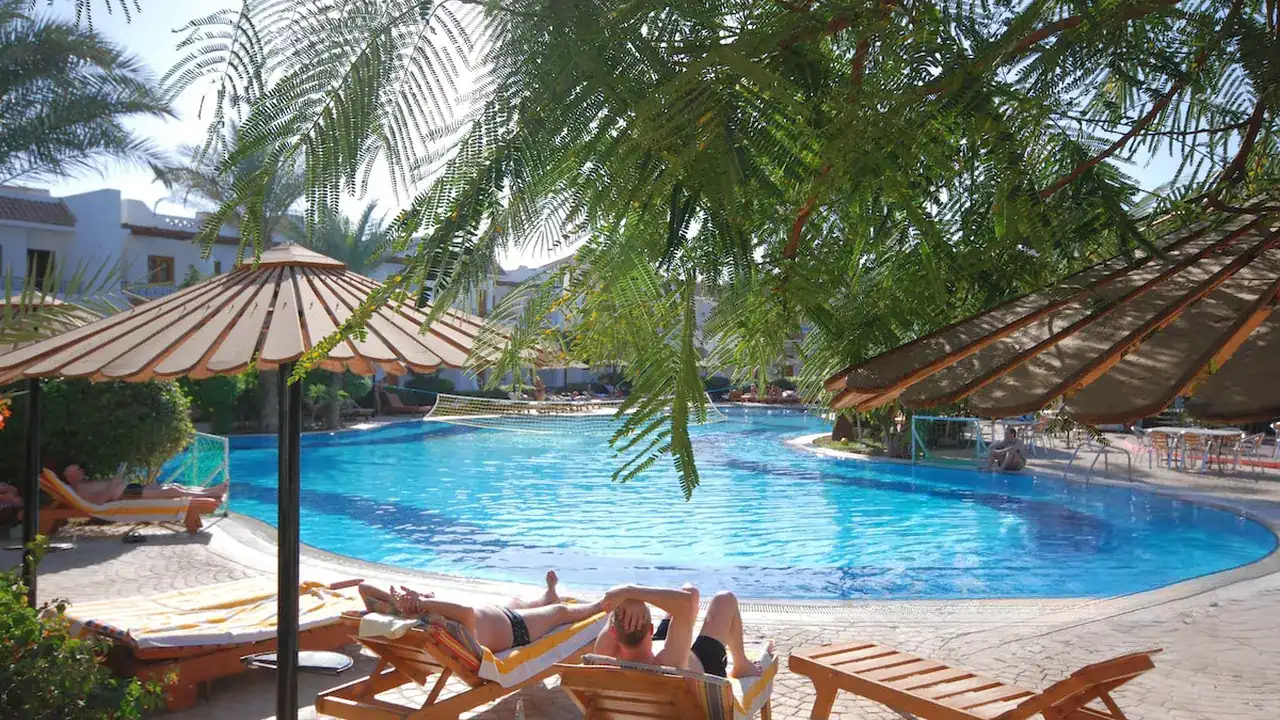 الفندق دايف ان ريزورت - شرم الشيخ